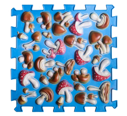 ORTEK Massage Mat «Mix Puzzles» Mushrooms 1 element