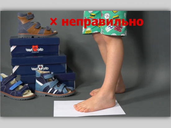Как определить размер обуви – Olvi